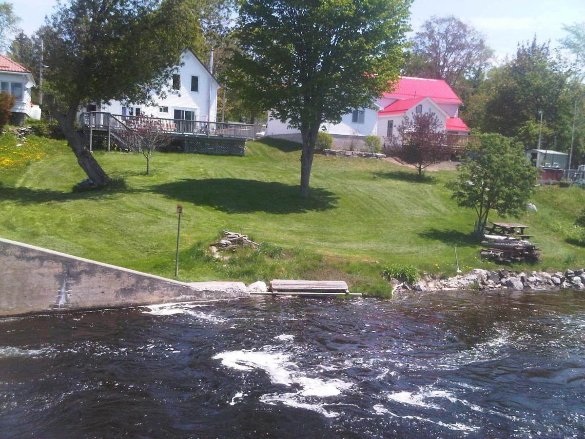 Balsam Lake 4 Bed Room Cottage Kawartha Lakes Exterior photo